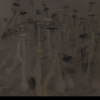 Somber dried sunflower field at soft eve | Psilocybin Myco