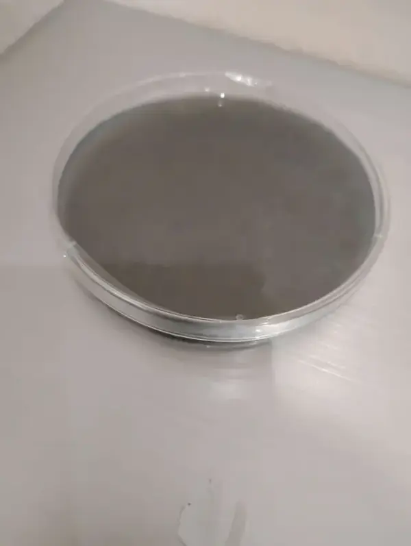Uncolonized Agar Plate
