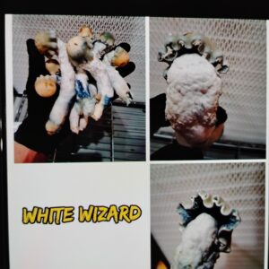 White Wizard