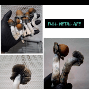 Full metal ape ( steel magnolia x ghost x ape